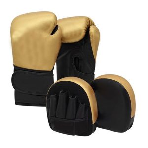 Boxing Gloves & Focus Pads