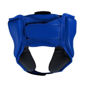 Alternative view of Head Guard