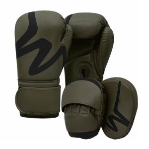 Boxing Gloves & Focus Pads